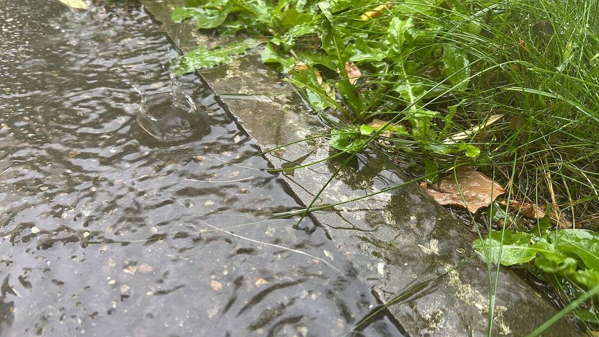    Фото: телеканал «Краснодар»