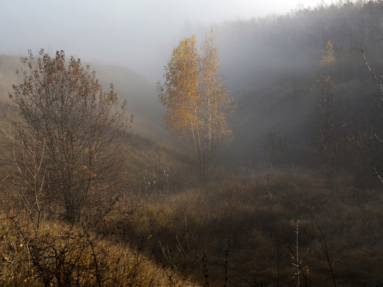     Nikolay Gyngazov/Global Look Press/Global Look Press