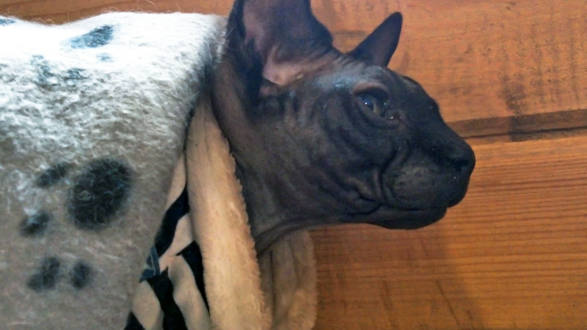 Фото: Светлана Мулыкина📷
