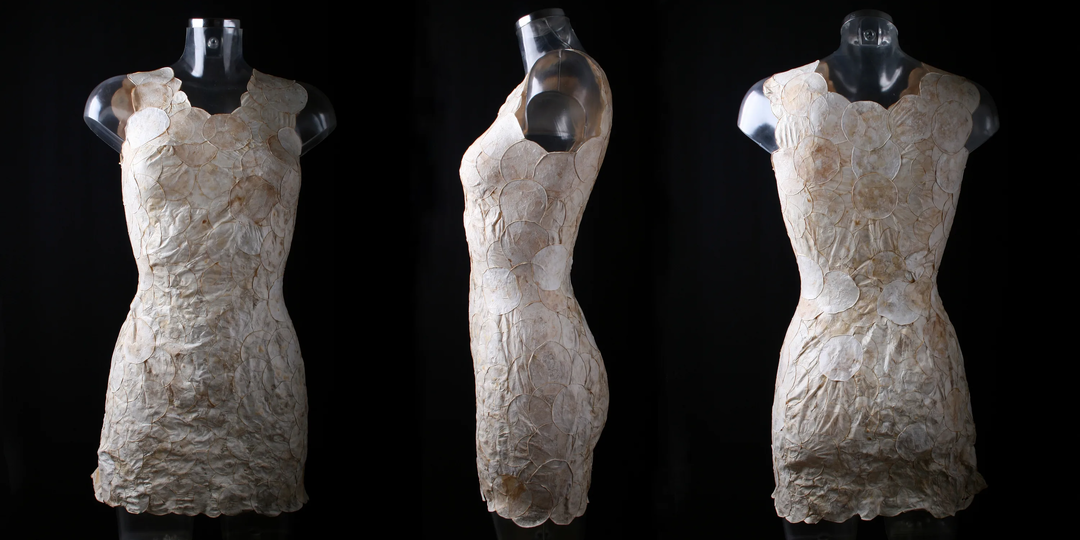 Биотекстиль будущего: одежда из грибов и водорослей