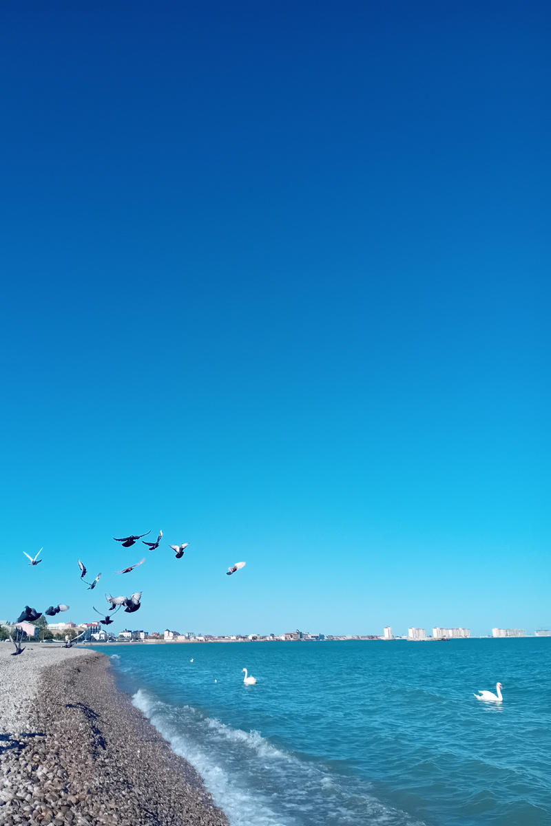 Авторское фото.