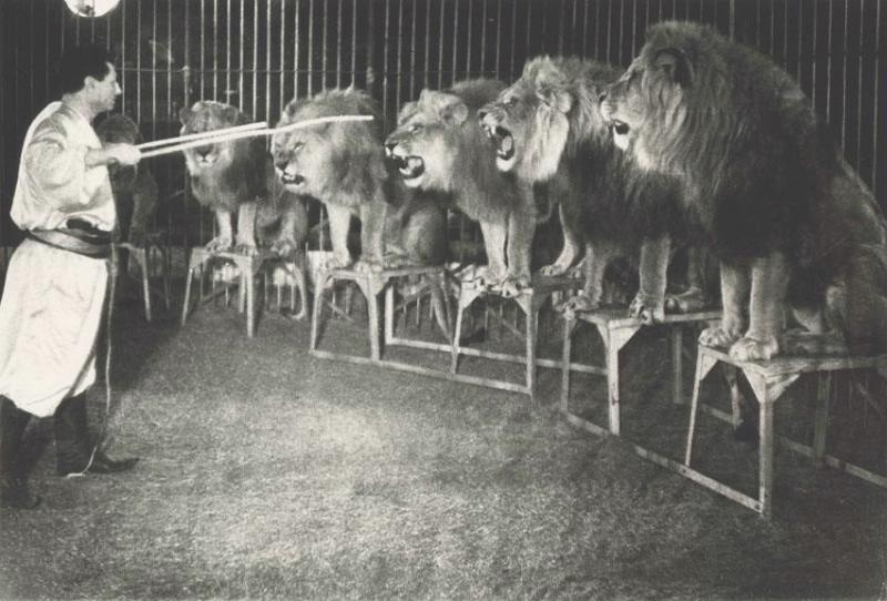 Макс Борисов и его львы. 1940 год