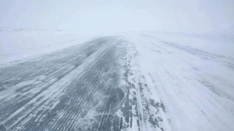    Фото: norikko/Shutterstock/Fotodom