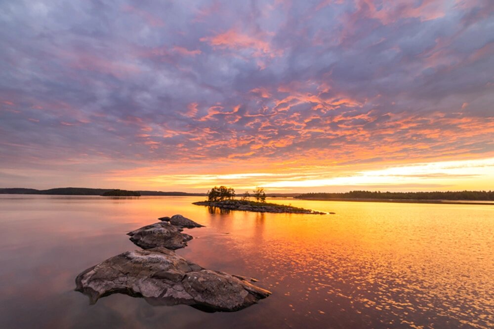    Следы креолов и сиамов. Фото: Геннадий Юсин