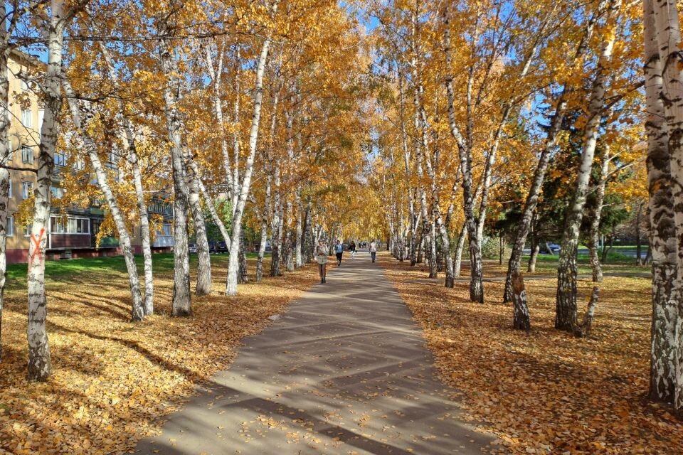    Золотая осень. Погода.. Источник: Евгения Кочеткова/"Толк"
