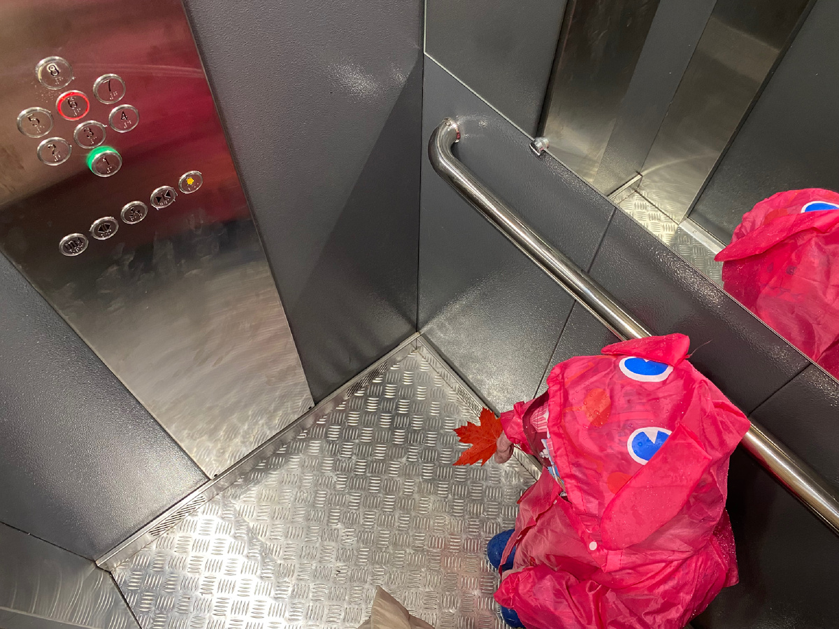 Один раз успели прокатиться!)