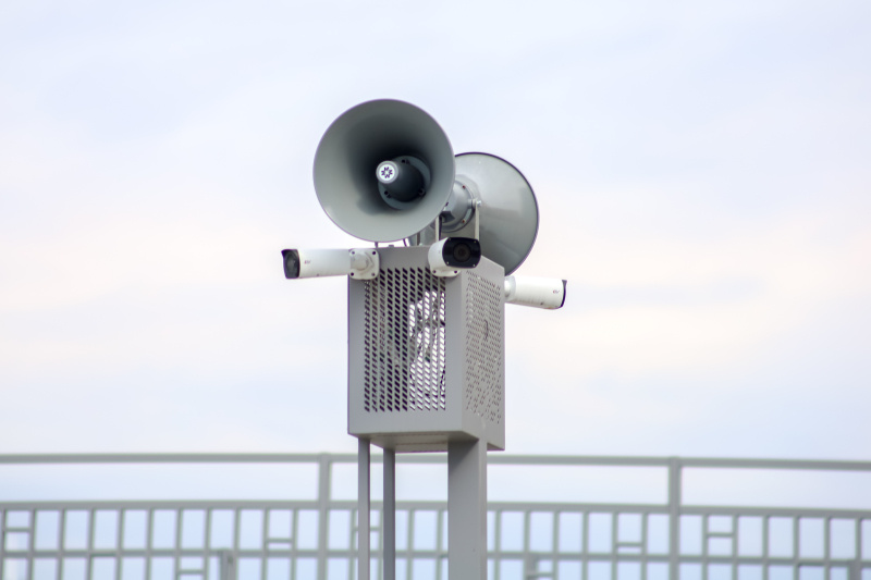    Фото: Elena Mayorova/GlobalLookPress