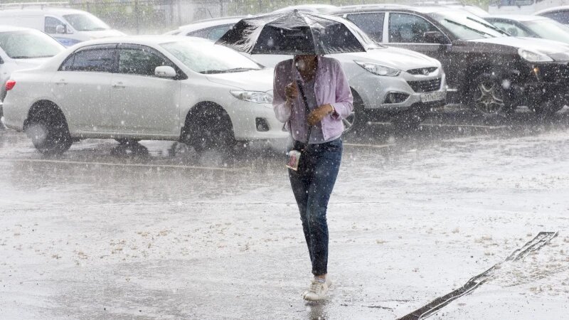     Дождь. Анна Зайкова, altapress.ru