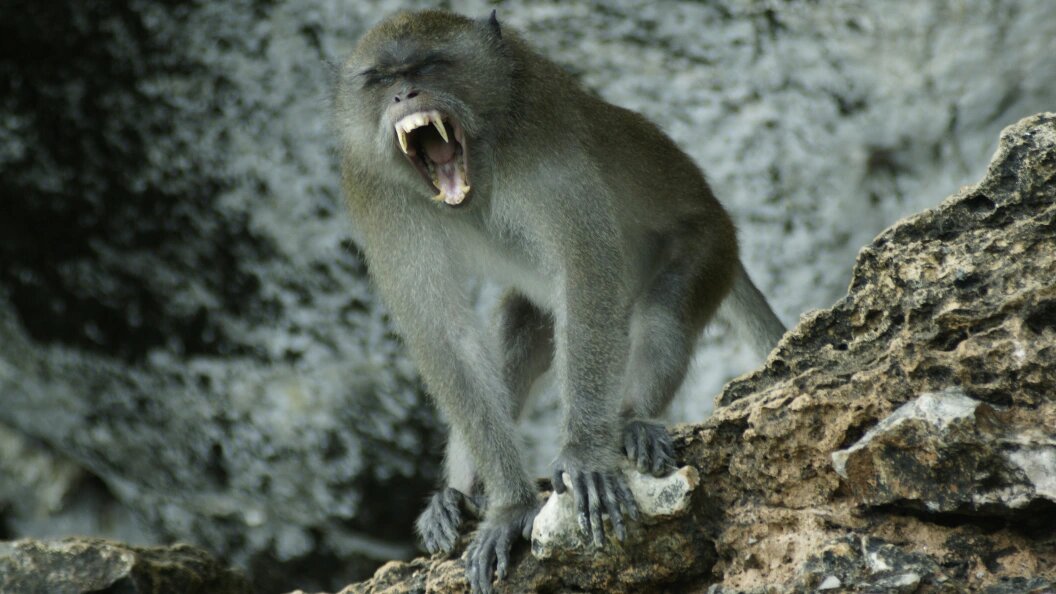    Matthias Stolt / CHROMORANGE/Globallookpress