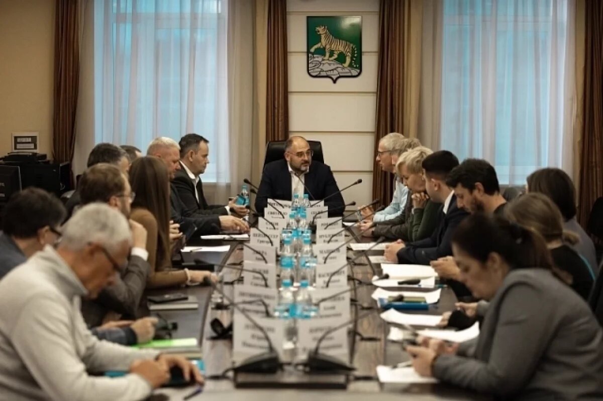    Мэр Владивостока и президент DNS обсудили обустройство пляжа на Патрокле