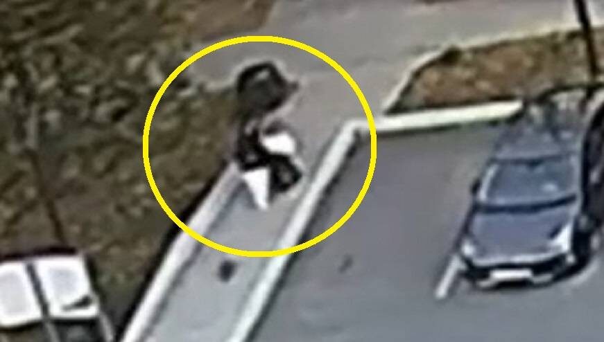    Источник фото: скрин видео @dpsvl