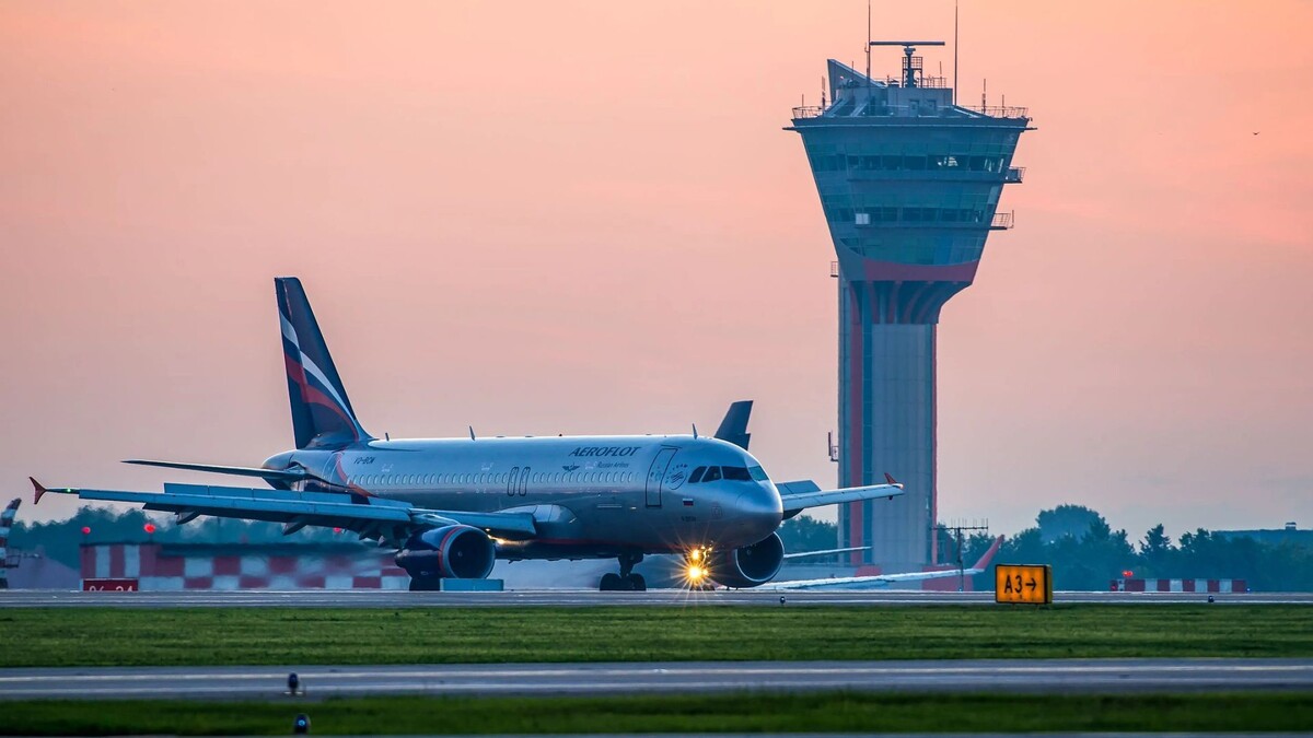    Фото: Media_works/Shutterstock/Fotodom