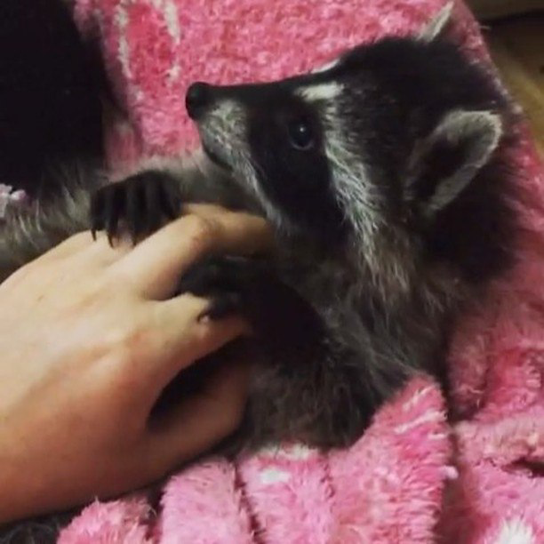 Из домашнего архива. 