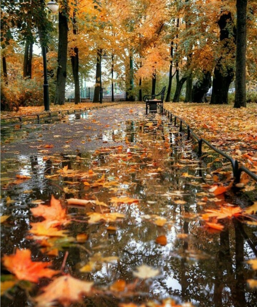 С просторов интернета