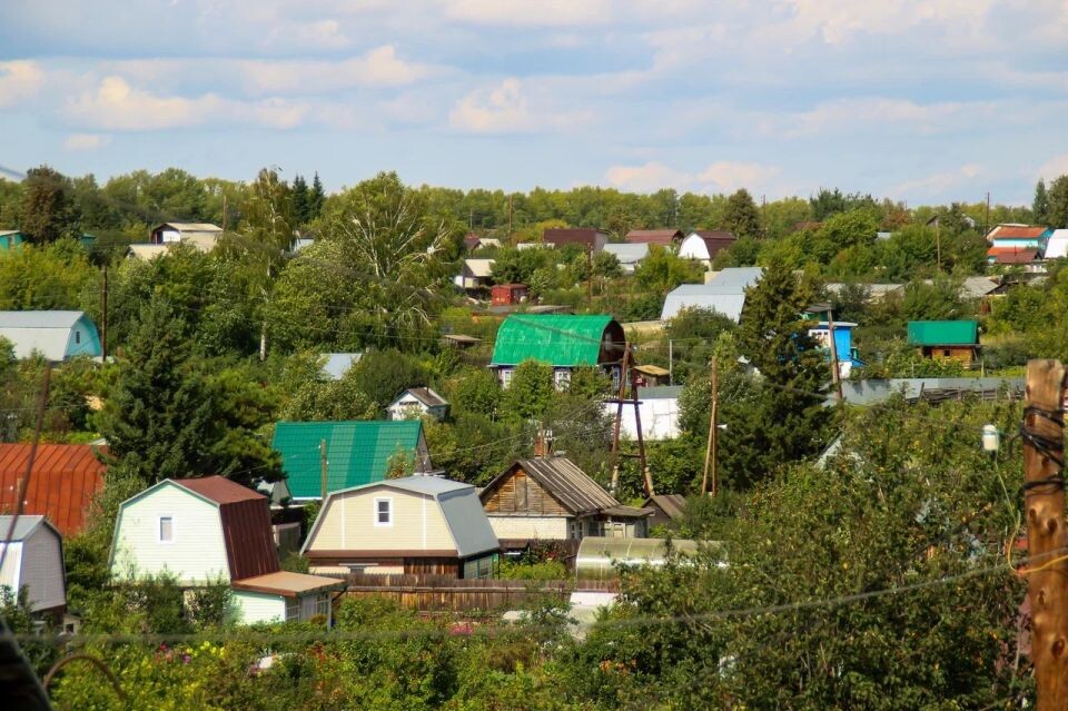    О чем говорят дачники: душевный фоторепортаж с барнаульского садоводства. Источник: Виталий Барабаш