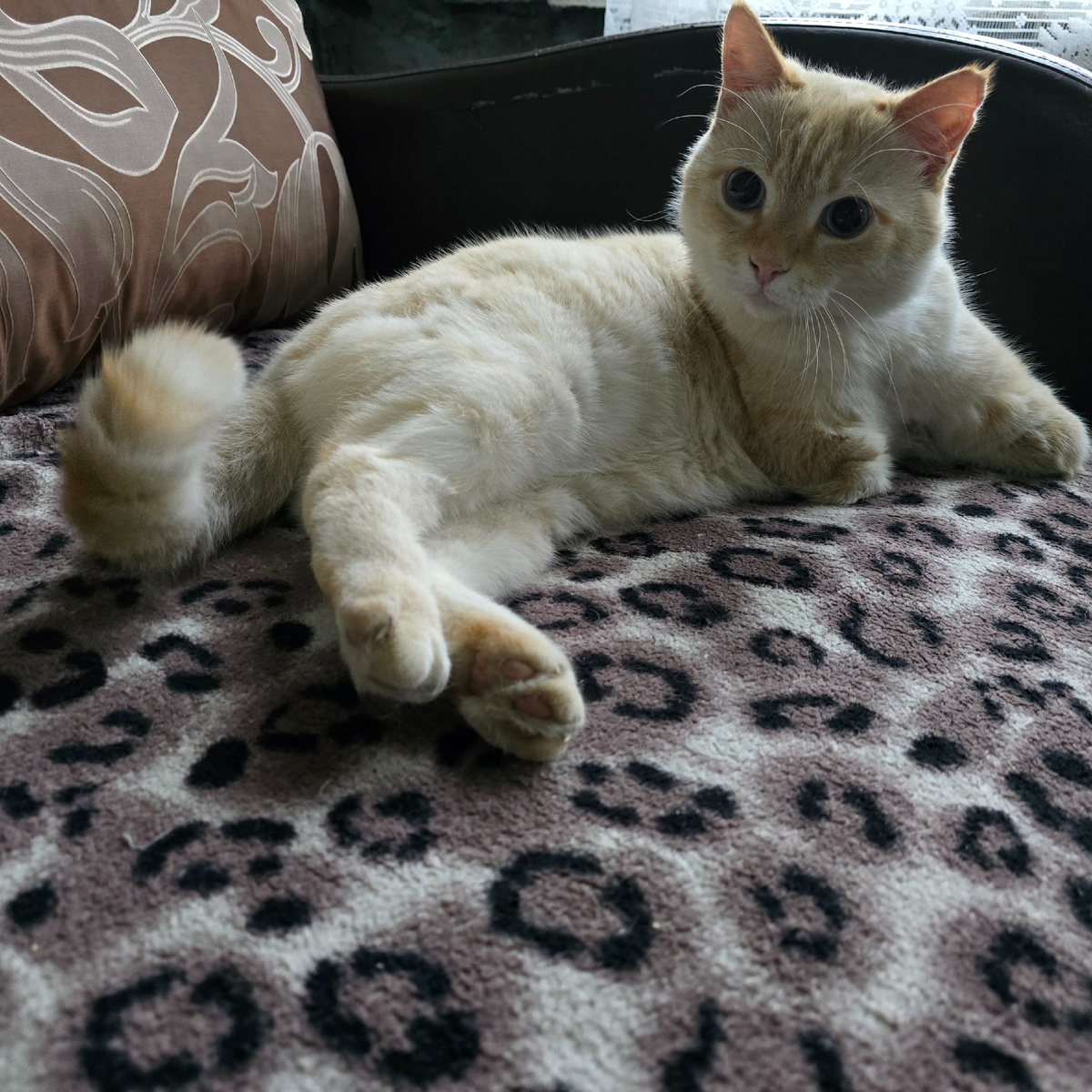 Тамик лежит доверчиво расслабленно