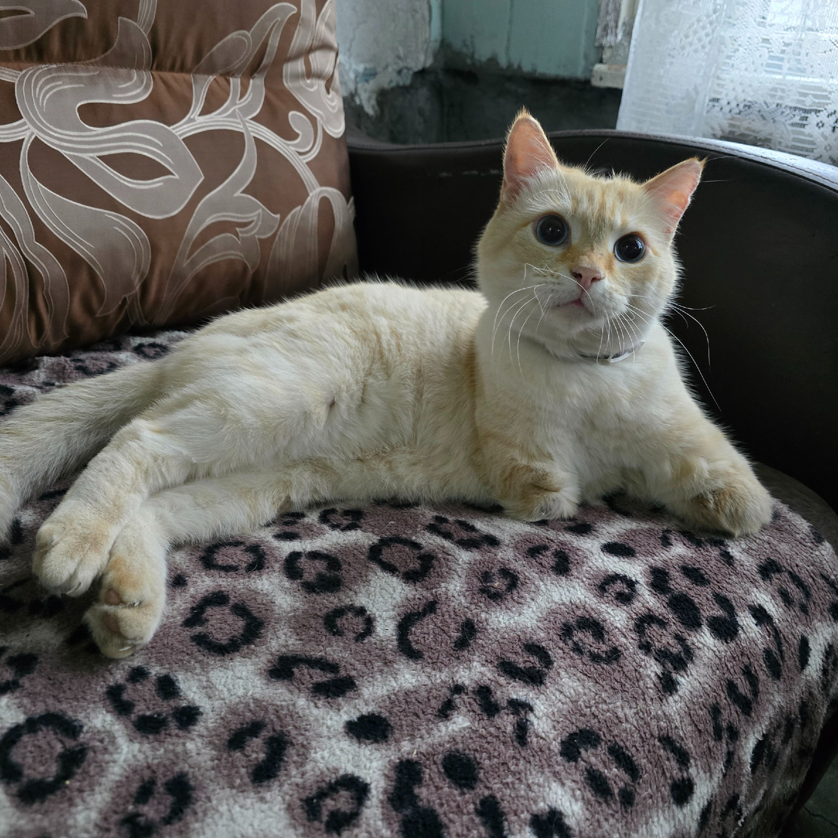 Тамик смотрит с осторожной надеждой