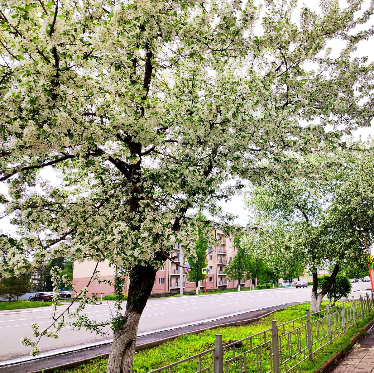 Наш проспект Кирова 