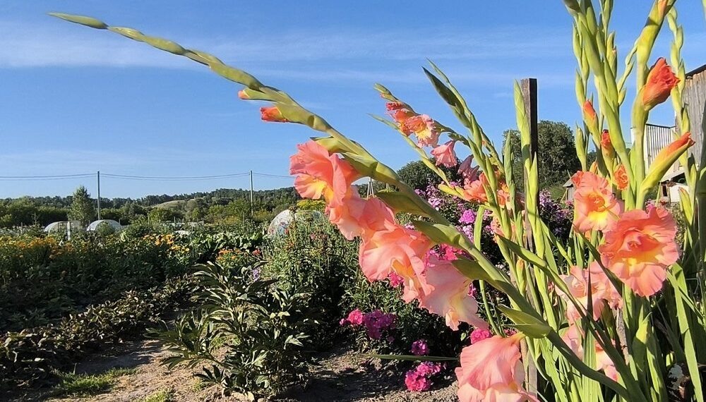    Фото из архива редакции