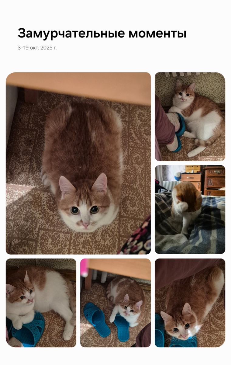 телефон собирает слайдшоу