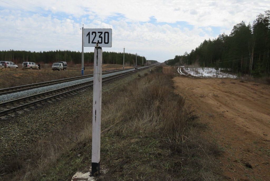    Проезжающие через Бузулукский бор поезда теперь обязательно будут подавать звуковой сигнал