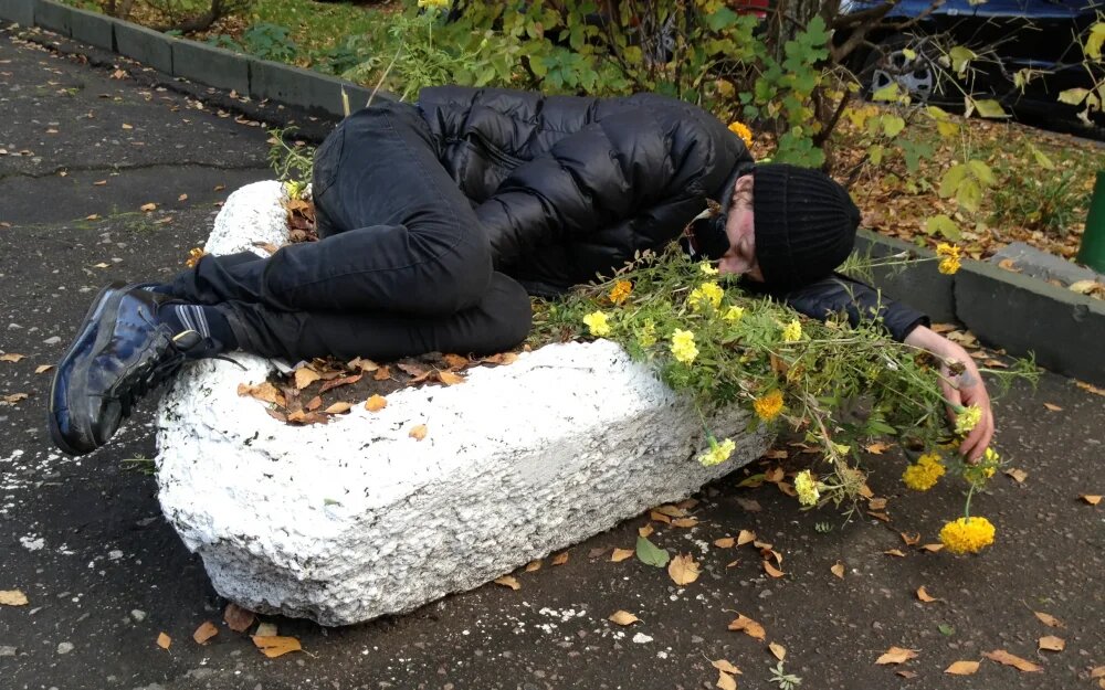    Фото: "Брянские новости"