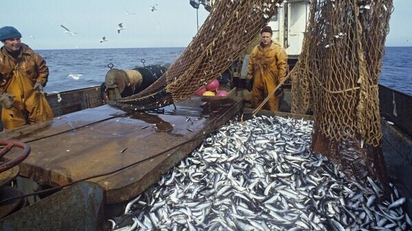    © РИА Новости . Всеволод Тарасевич