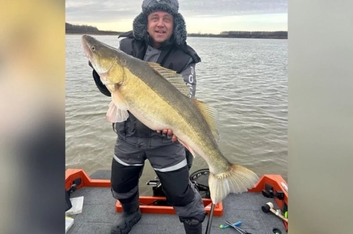    Сибиряк поймал 12-килограммового судака и выпустил его обратно в реку