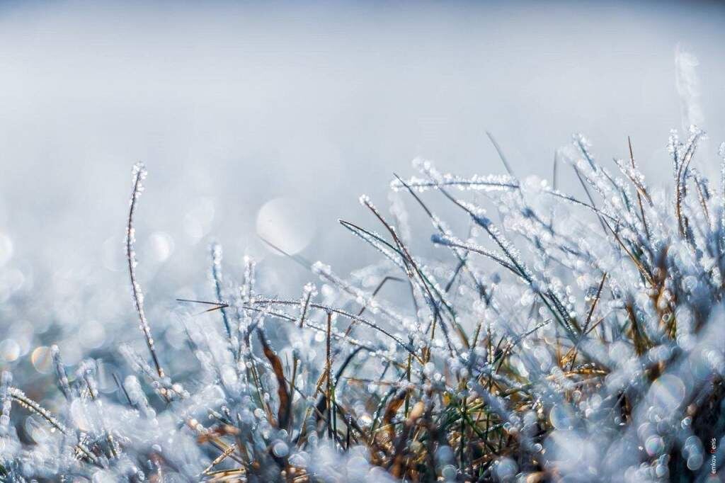    Фото Дениса Демкова admin