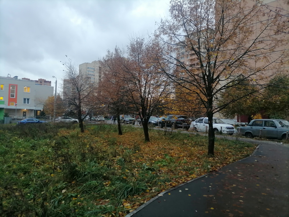 Осень в нашем дворе 