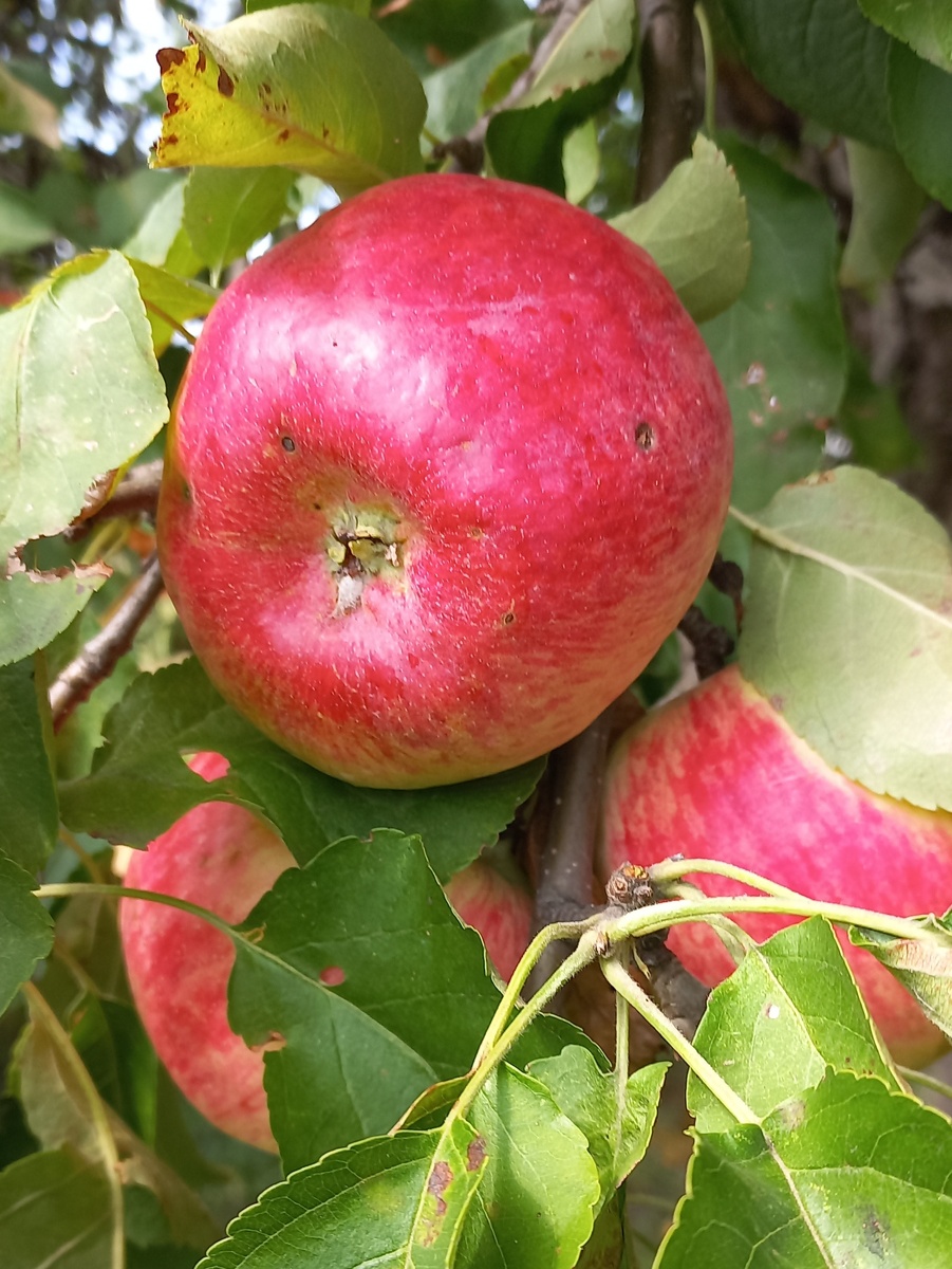 Фото личное