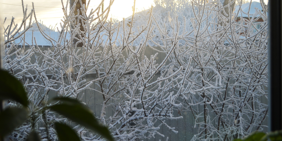 Я просто хотел быть счастливым