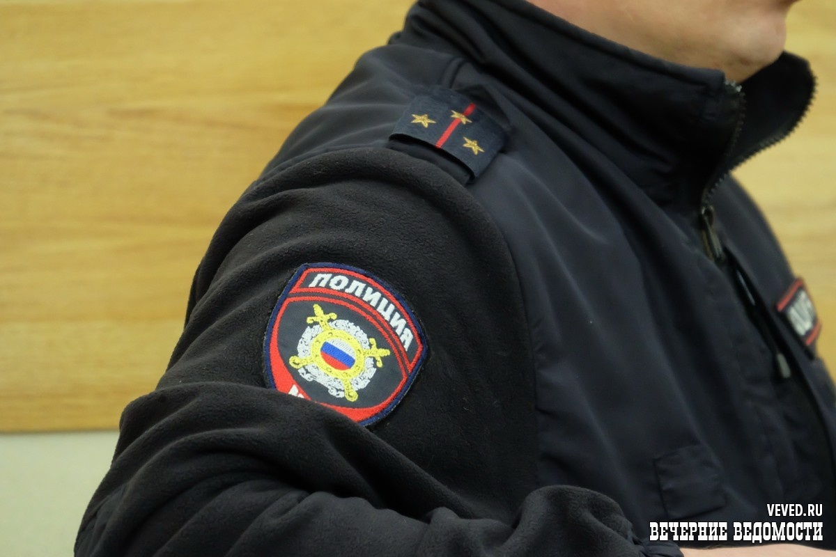     Фото: Владислав Постников / Вечерние ведомости