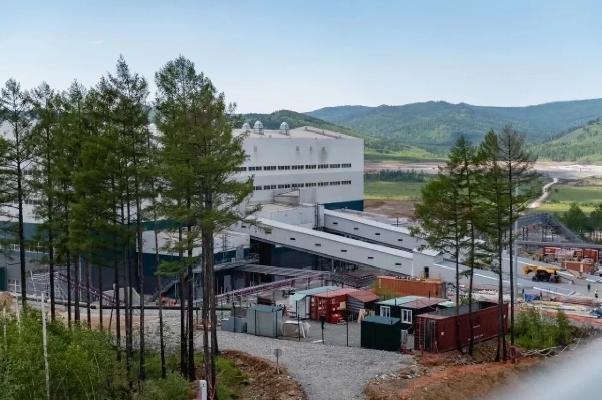    Култуминский ГОК завершил лесовосстановление с опережением сроков