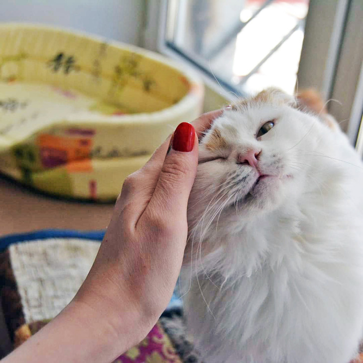 Фото из Интернета.