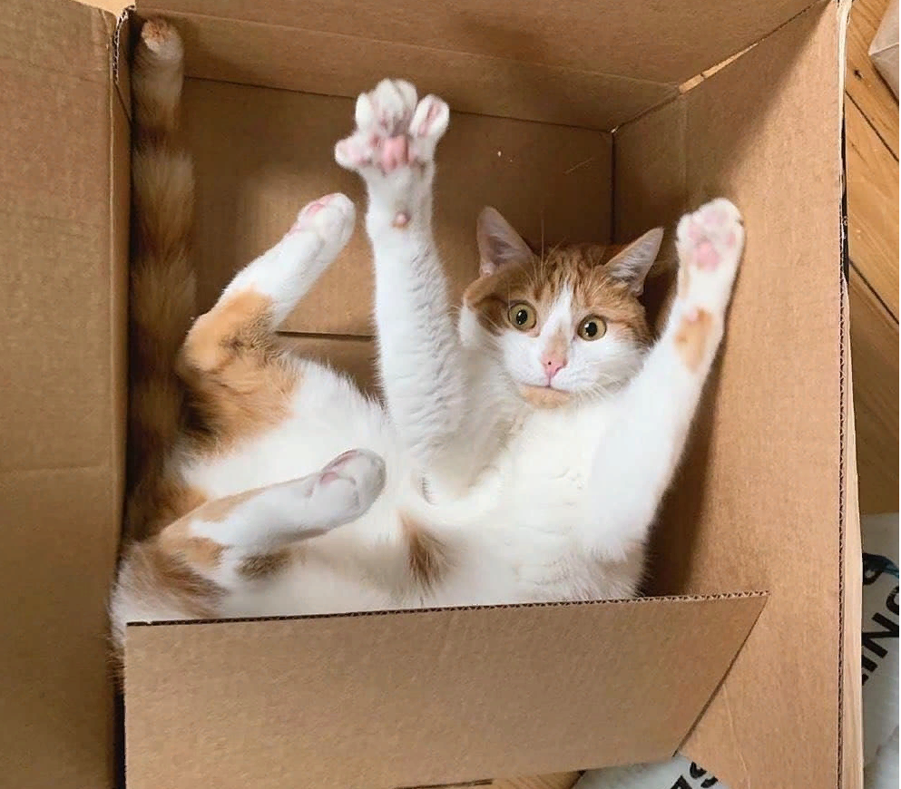 Фото из Интернета.