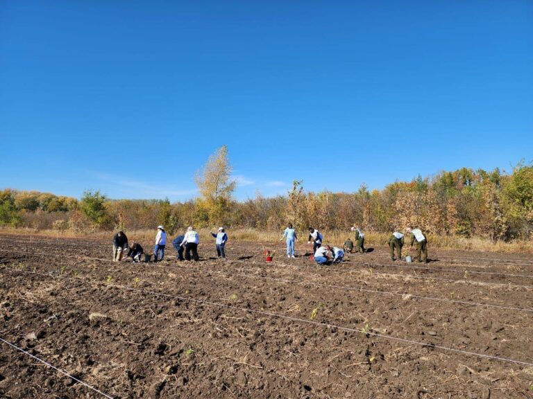    В Оренбуржье продолжается всероссийская акция «Сохраним лес» Оренбуржье