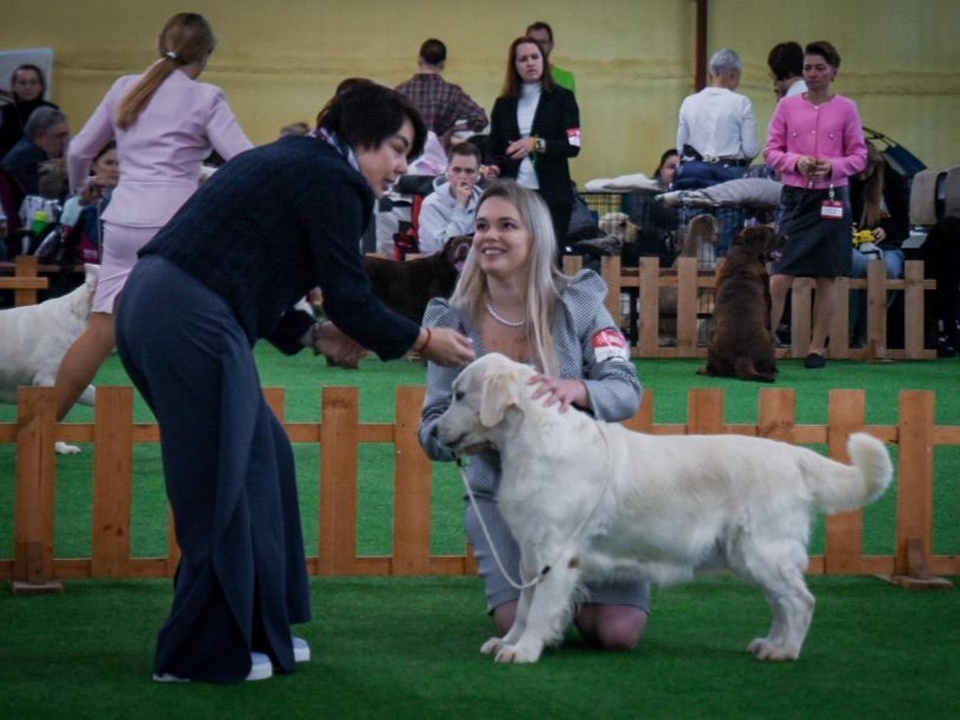    Фото: МедиаБанк Подмосковья/Ольга Антонова