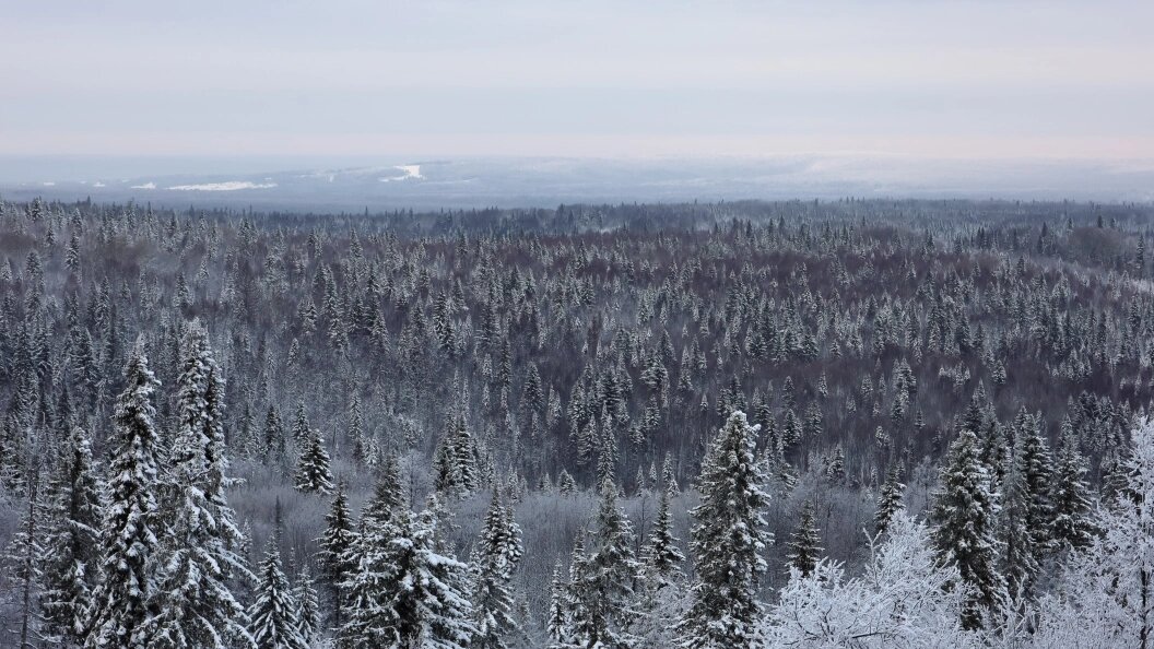    Elena Mayorova/Globallookpress