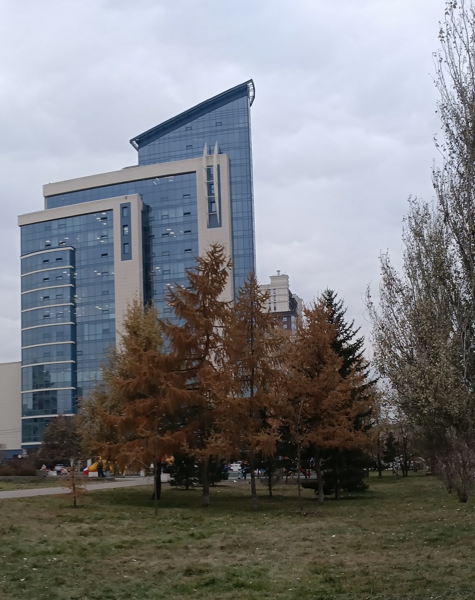 Где-то на просторах моего города. Фотография автора, конец октября текущего 2025 года. 