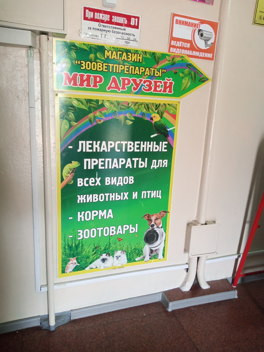 Фото сделано внутри , в коридоре где находятся ещё офисы и магазинчики.