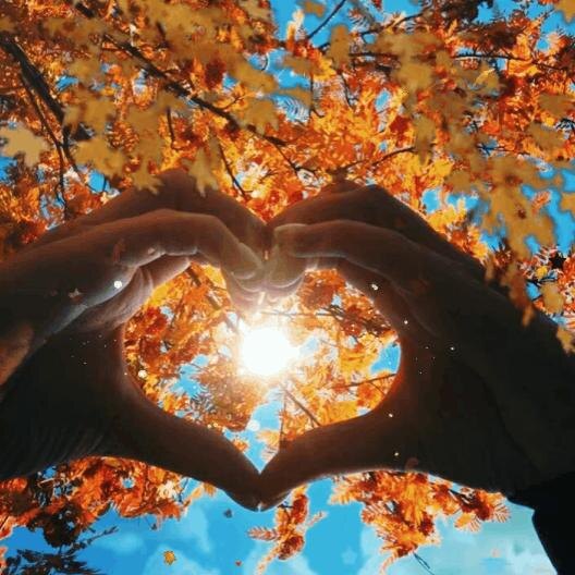 Яндекс.Картинки