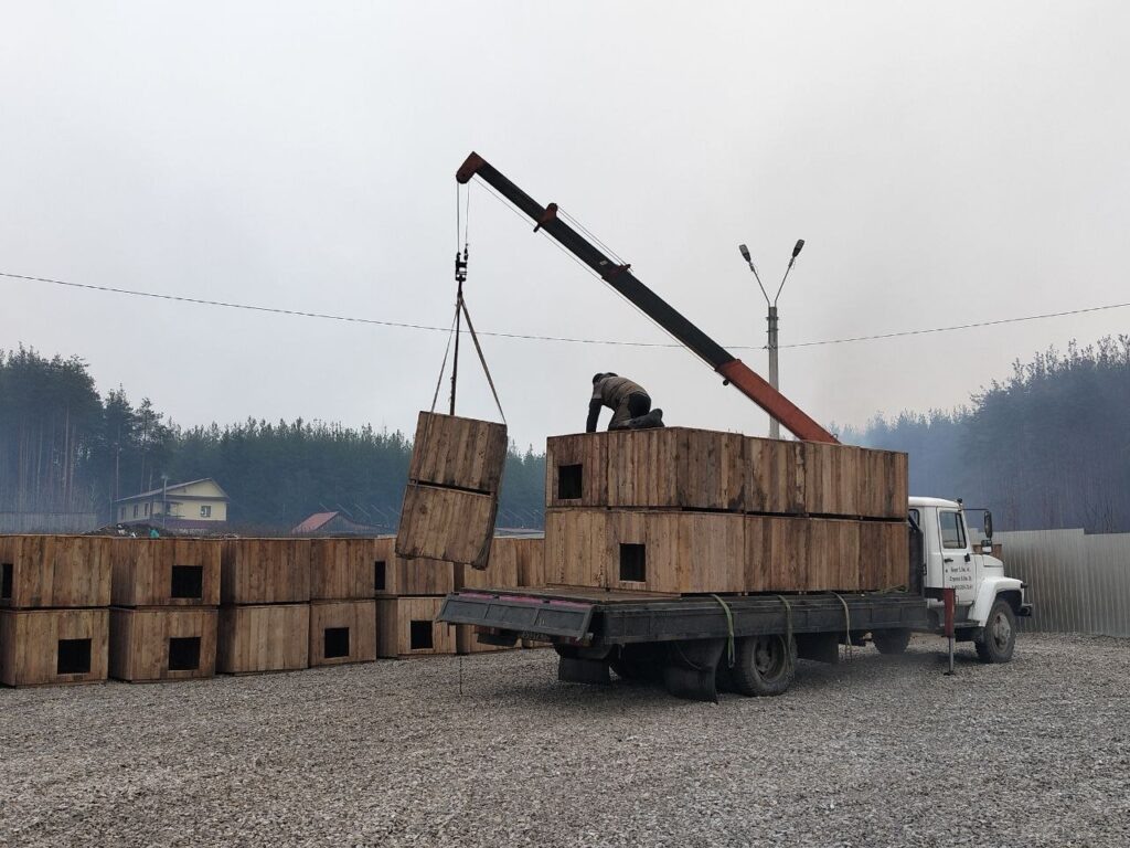    Фото: Пресс-служба администрации Соликамского округа Ульяна Бажанова