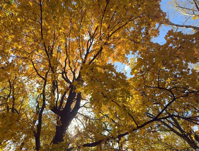    ФОТО: Белова Александра