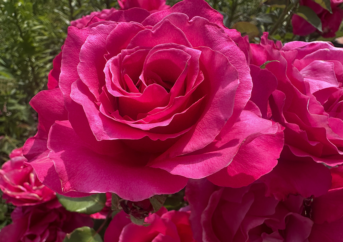 Фото © «Московская газета»