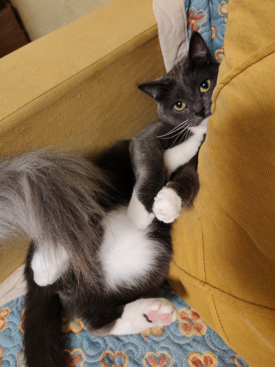 Будьте счастливы! 