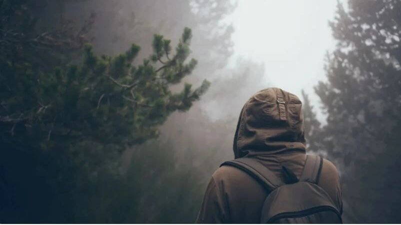    Фото: Veera/Shutterstock/Fotodom