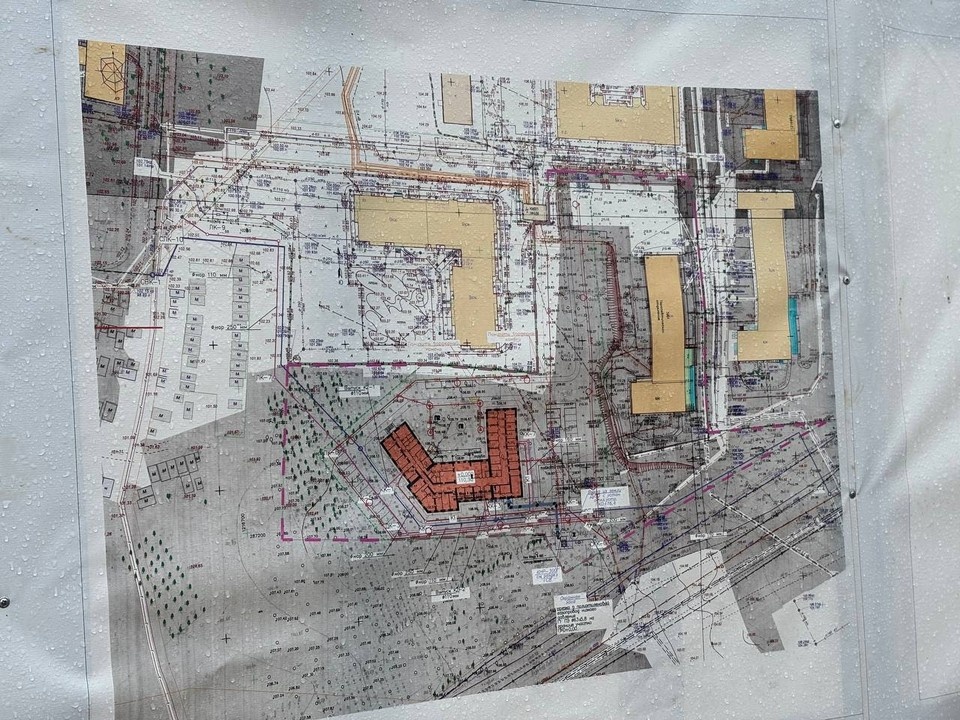    Фото: администрация Костромской области