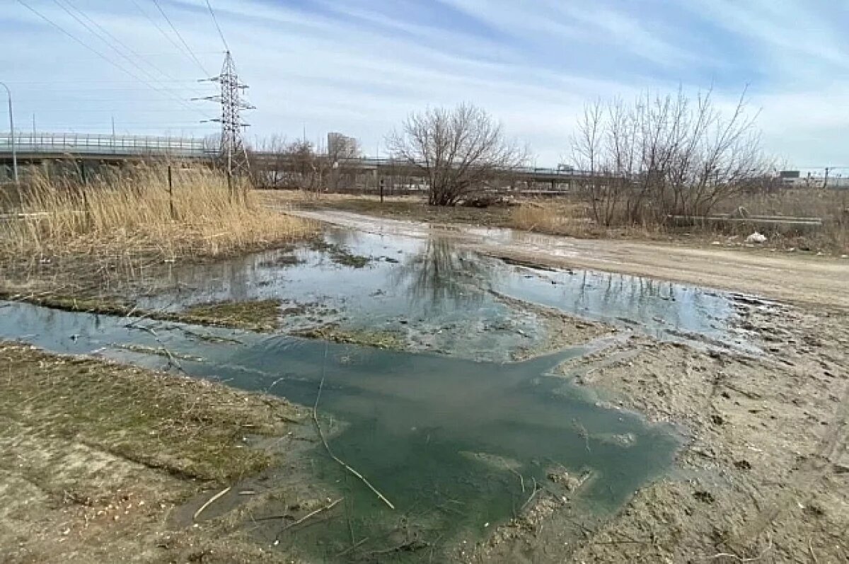    1,1 млн рублей заплатит волгоградская УК за экологическое бедствие