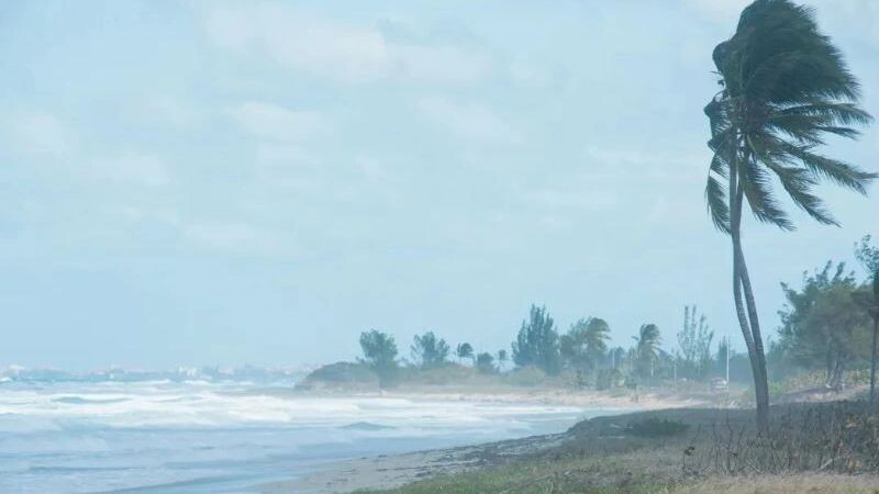    Фото: simonovstas/Shutterstock/Fotodom